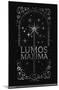 The Wizarding World: Harry Potter - Lumos Maxima-Trends International-Mounted Poster