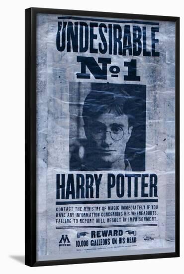 The Wizarding World: Harry Potter - Undesirable-Trends International-Framed Poster
