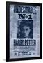 The Wizarding World: Harry Potter - Undesirable-Trends International-Framed Poster