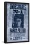 The Wizarding World: Harry Potter - Undesirable-Trends International-Framed Poster