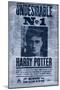 The Wizarding World: Harry Potter - Undesirable-Trends International-Mounted Poster