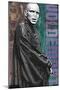 The Wizarding World: Harry Potter - Voldemort with Wand-Trends International-Mounted Poster