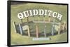 The Wizarding World: Harry Potter - Witness Quidditch-Trends International-Framed Poster