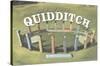 The Wizarding World: Harry Potter - Witness Quidditch-Trends International-Stretched Canvas