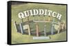 The Wizarding World: Harry Potter - Witness Quidditch-Trends International-Framed Stretched Canvas
