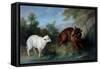 The Wolf and the Lamb, 1751 (Oil on Canvas)-Jean-Baptiste Oudry-Framed Stretched Canvas