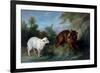 The Wolf and the Lamb, 1751 (Oil on Canvas)-Jean-Baptiste Oudry-Framed Giclee Print