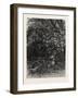 The Wolf in its Lair, 1882-null-Framed Giclee Print