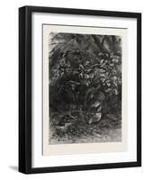 The Wolf in its Lair, 1882-null-Framed Giclee Print