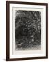 The Wolf in its Lair, 1882-null-Framed Giclee Print