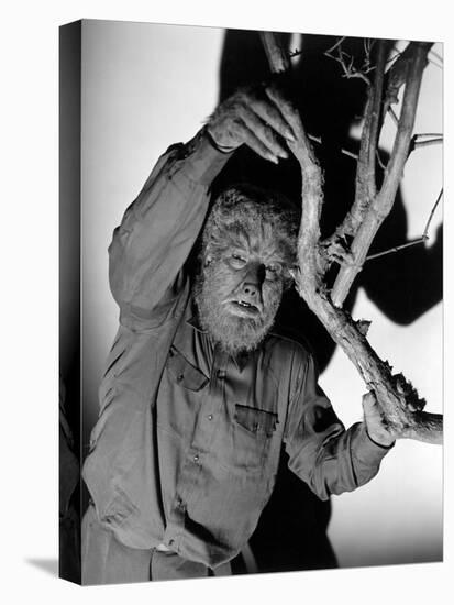 The Wolf Man, 1941-null-Stretched Canvas