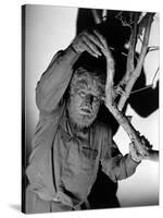 The Wolf Man, 1941-null-Stretched Canvas