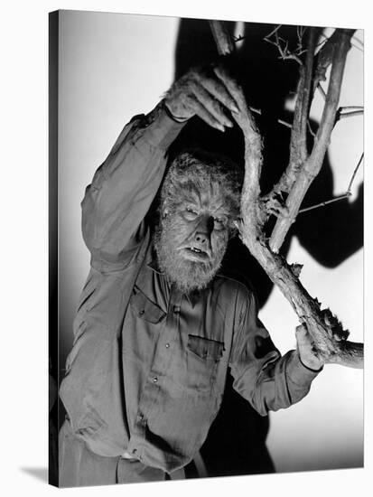 The Wolf Man, 1941-null-Stretched Canvas