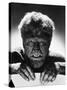 The Wolf Man, 1941-null-Stretched Canvas