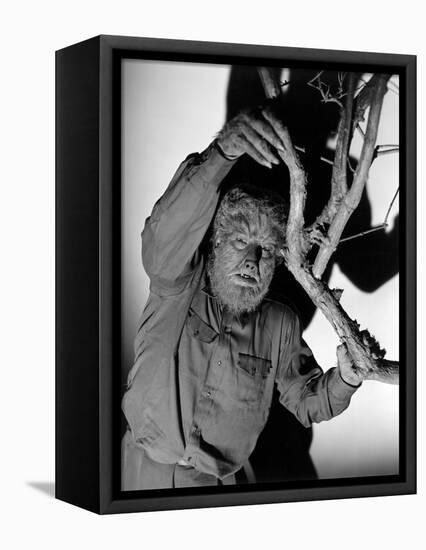 The Wolf Man, 1941-null-Framed Stretched Canvas