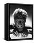 The Wolf Man, 1941-null-Framed Stretched Canvas