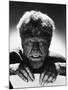 The Wolf Man, 1941-null-Mounted Photographic Print