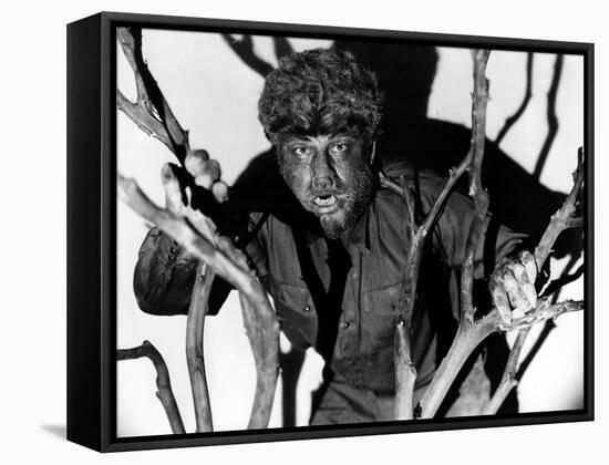 The Wolf Man, Lon Chaney, Jr., 1941-null-Framed Stretched Canvas