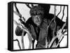 The Wolf Man, Lon Chaney, Jr., 1941-null-Framed Stretched Canvas