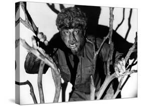 The Wolf Man, Lon Chaney, Jr., 1941-null-Stretched Canvas