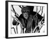 The Wolf Man, Lon Chaney, Jr., 1941-null-Framed Photo