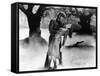 The Wolf Man, Lon Chaney Jr., Evelyn Ankers, 1941-null-Framed Stretched Canvas