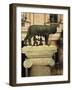 The Wolf with Romuls and Remus, Rome, Italy-Angelo Cavalli-Framed Photographic Print