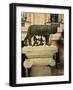 The Wolf with Romuls and Remus, Rome, Italy-Angelo Cavalli-Framed Photographic Print