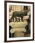 The Wolf with Romuls and Remus, Rome, Italy-Angelo Cavalli-Framed Photographic Print