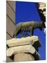 The Wolf with Romuls and Remus, Rome, Italy-Angelo Cavalli-Mounted Photographic Print