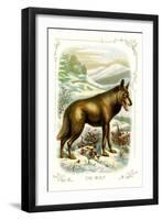 The Wolf-null-Framed Art Print