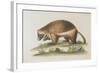 The Wolverene-null-Framed Giclee Print