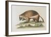 The Wolverene-null-Framed Giclee Print