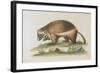 The Wolverene-null-Framed Giclee Print