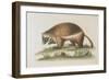 The Wolverene-null-Framed Giclee Print