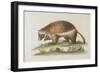 The Wolverene-null-Framed Giclee Print