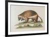 The Wolverene-null-Framed Giclee Print