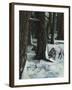 The Wolves-Jamin Still-Framed Giclee Print