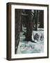 The Wolves-Jamin Still-Framed Giclee Print