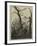 The Woman with the Cobweb Between Bare Trees-Caspar David Friedrich-Framed Premium Giclee Print