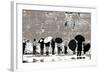 The Women's Side, from the Series Tuesday at the Wailing Wall (2016)-Joy Lions-Framed Giclee Print