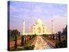 The Wonder of Taj Mahal, Agra, India-Bill Bachmann-Stretched Canvas