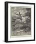 The Wonderful Adventures of Phra the Phoenician-Henry Marriott Paget-Framed Giclee Print