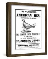 The Wonderful American Hen-null-Framed Art Print