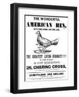 The Wonderful American Hen-null-Framed Art Print