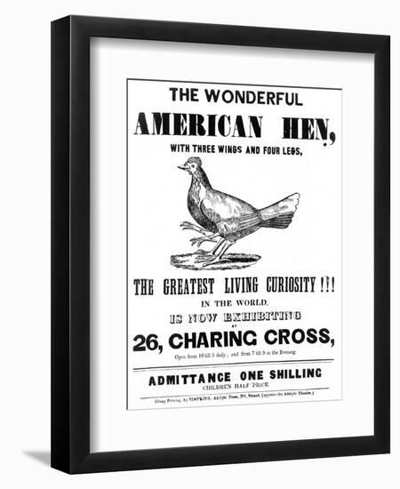 The Wonderful American Hen-null-Framed Art Print