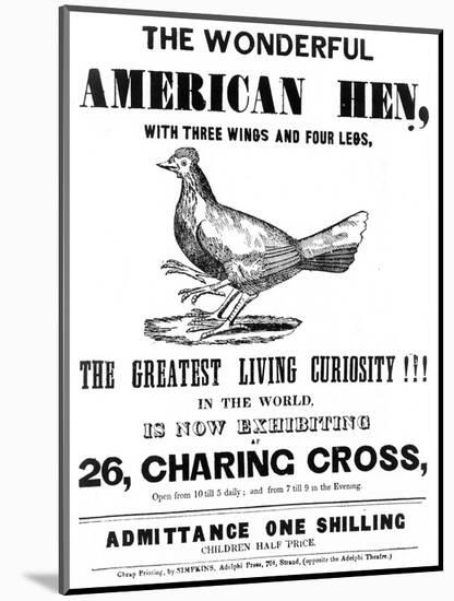 The Wonderful American Hen-null-Mounted Art Print