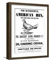 The Wonderful American Hen-null-Framed Art Print