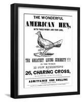 The Wonderful American Hen-null-Framed Art Print