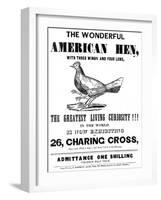 The Wonderful American Hen-null-Framed Art Print